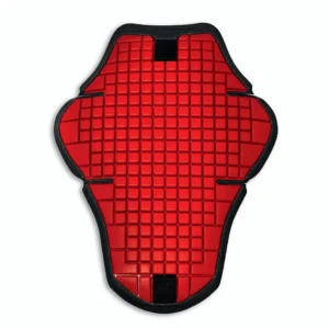 Warrior 2 Back Protector