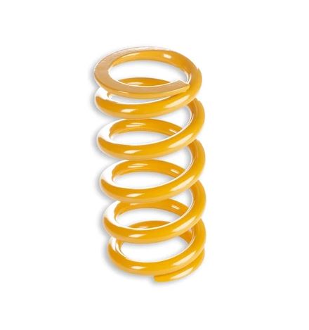 TTX Panigale Shock Spring